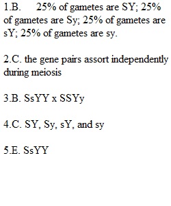 Week 5 Homework 2